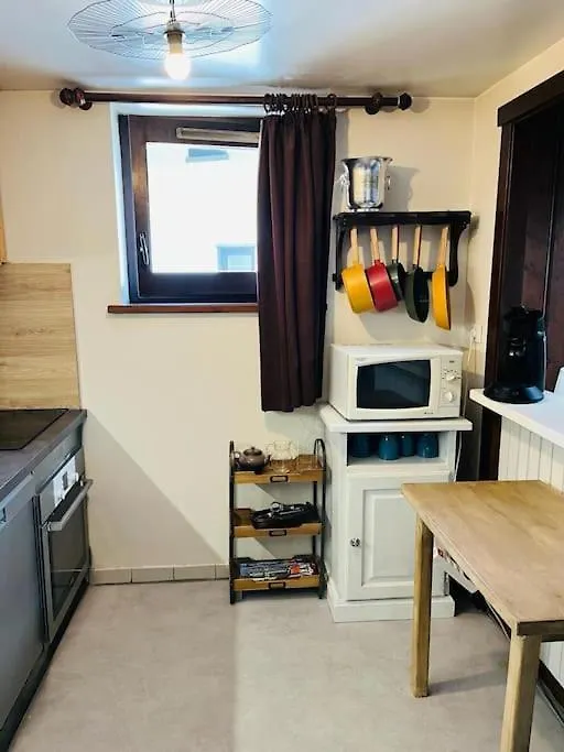Duplex Le Geant 7 Voyageurs Apartment Chamonix